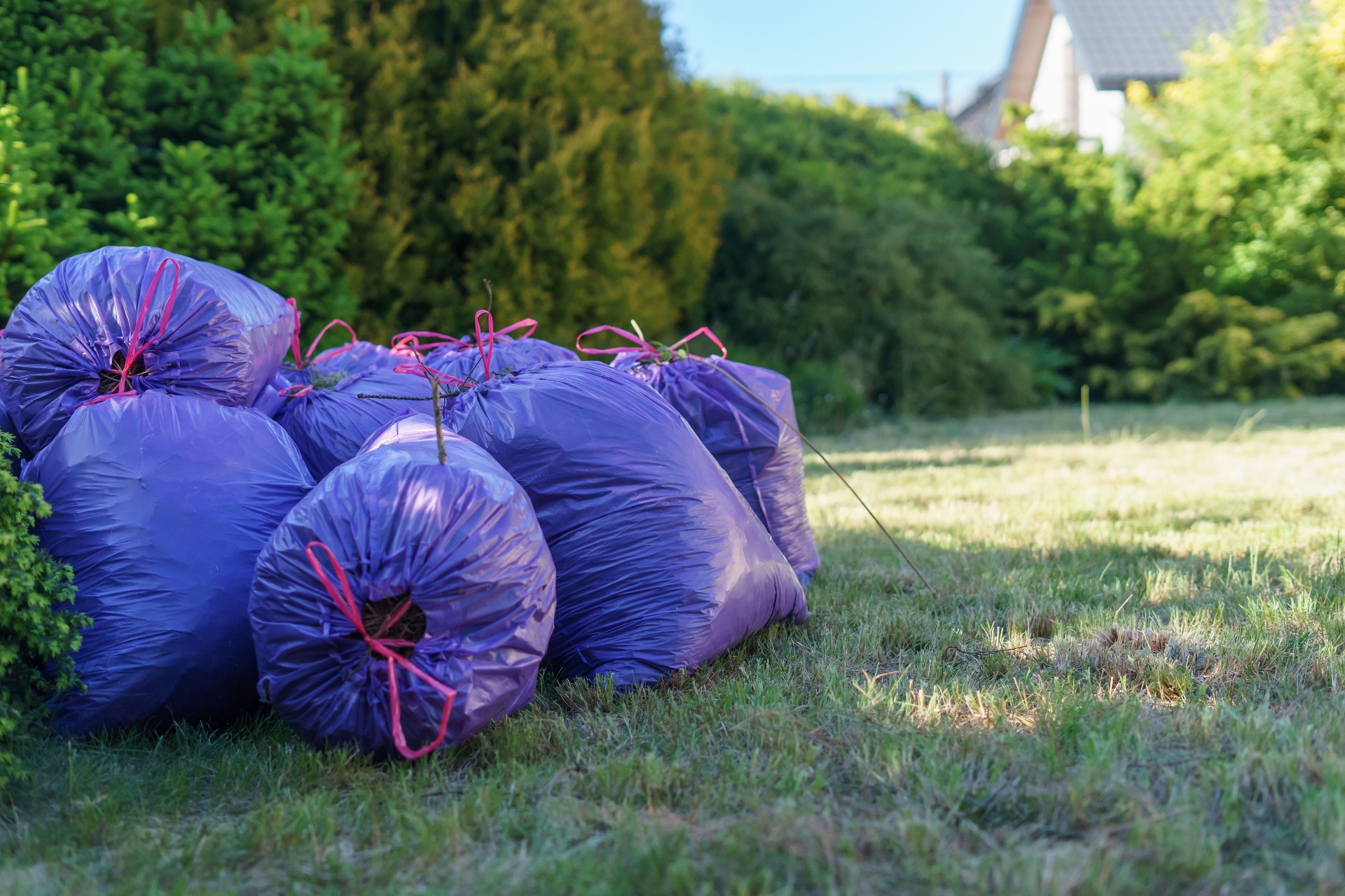 Gartenabfälle in Säcken im Außenbereich